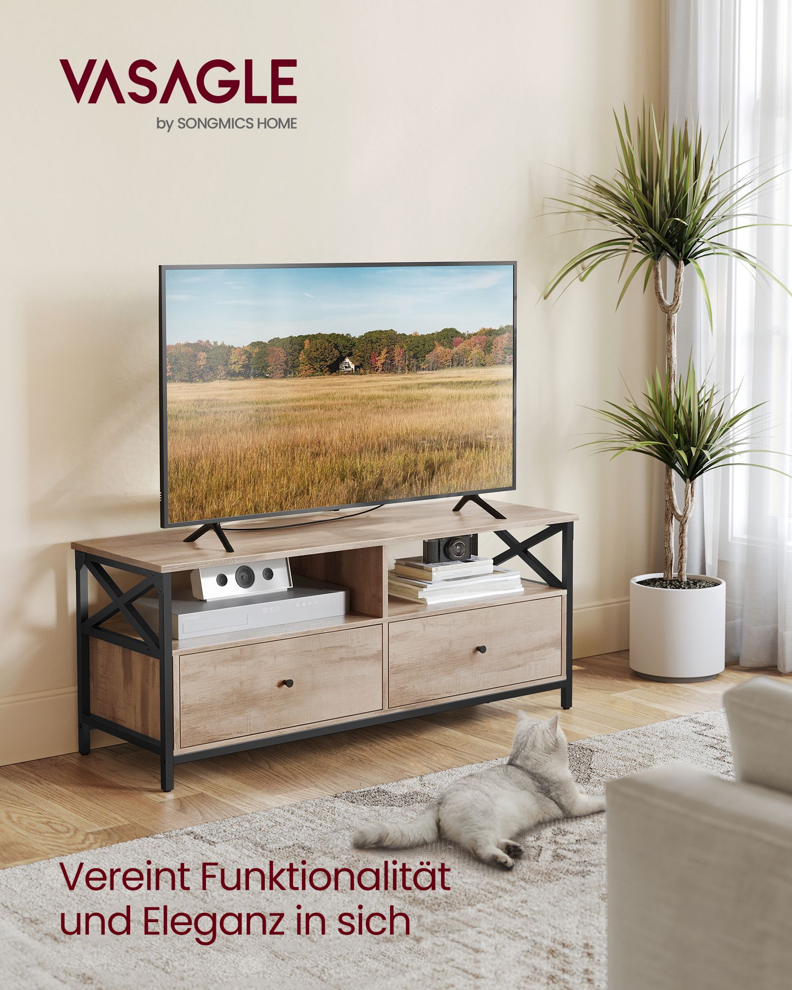 TV cabinet 120 cm long with 2 drawers and 2 open compartments - Image 2