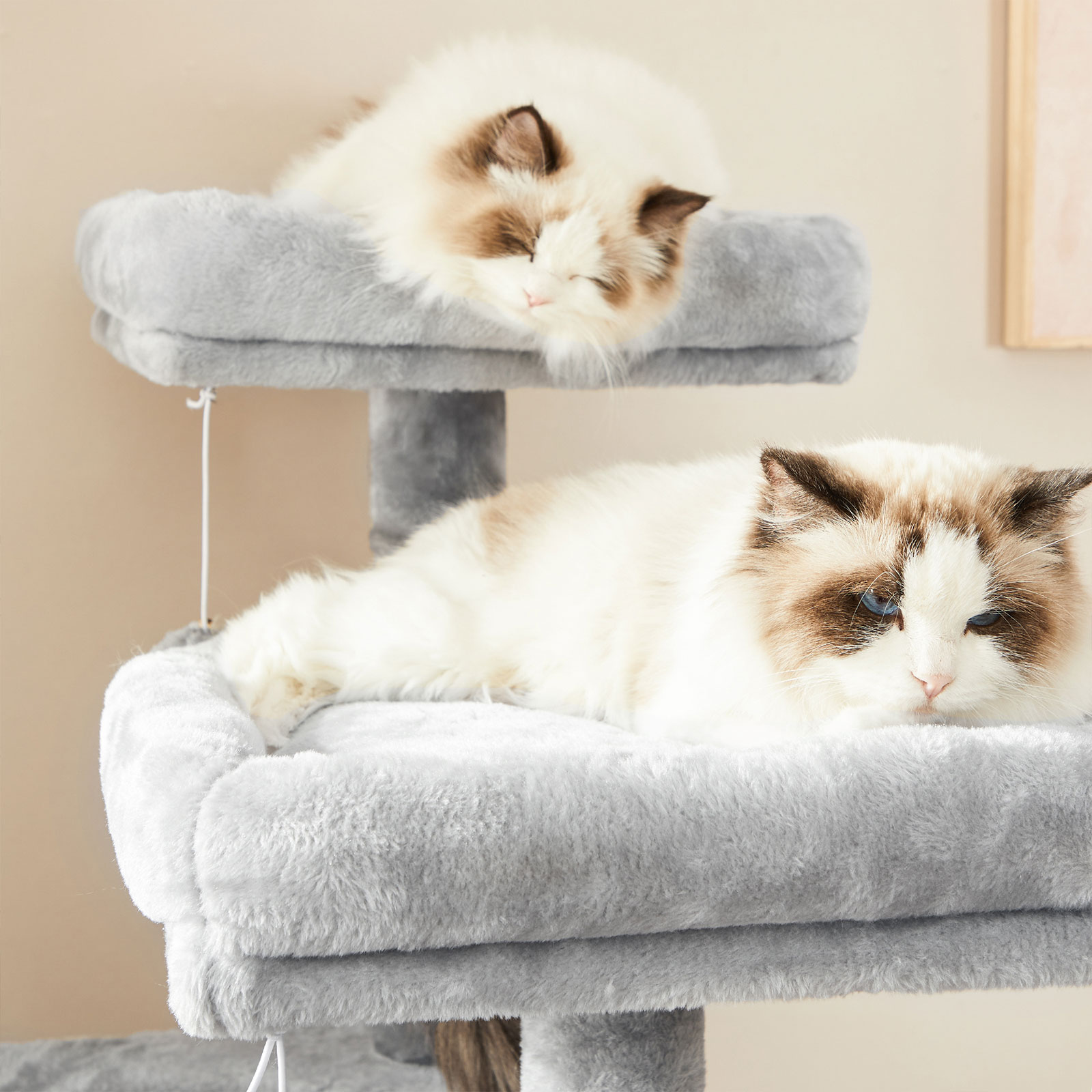Kattetræ, Cat Condo 115 cm, kradseplade, lysegrå - Billede 4