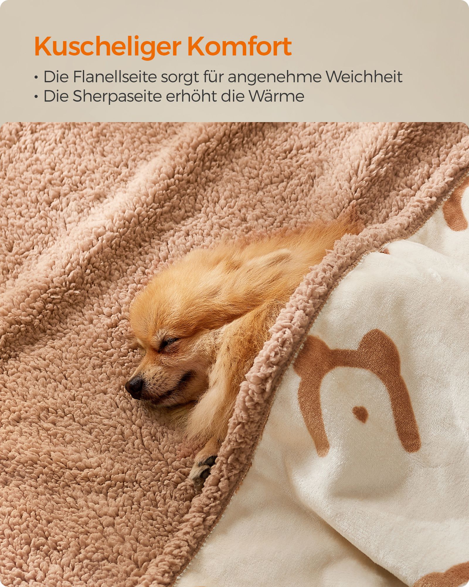 Vattentätt hundtäcke för miniatyrhundar beige - Bild 4