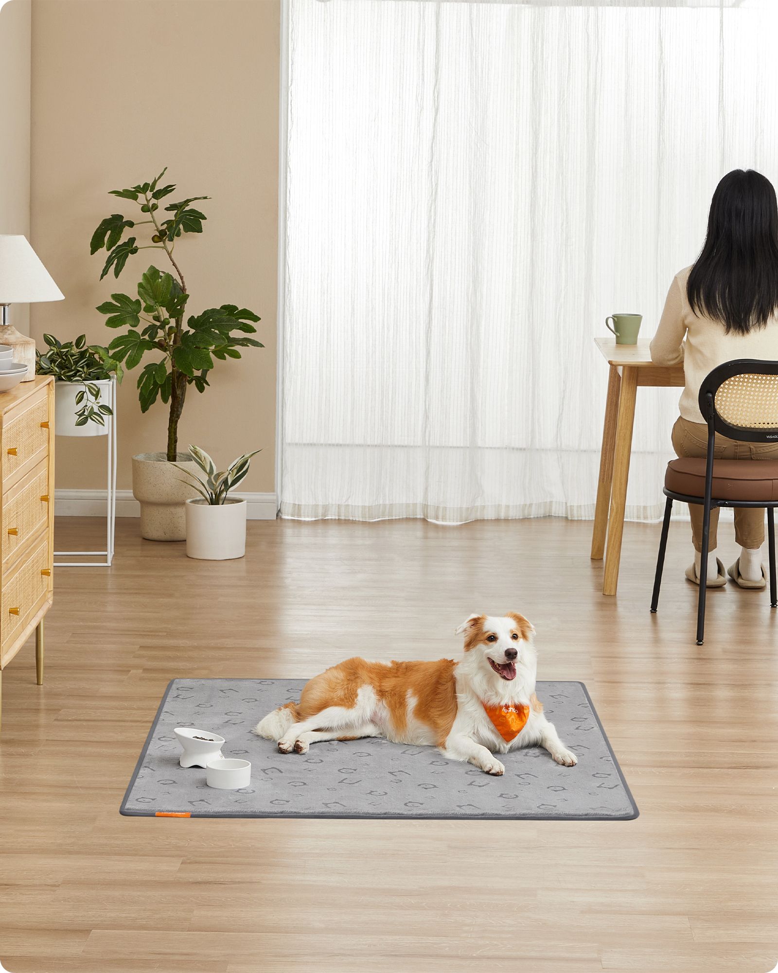 Hvalpeunderlag vaskbart sæt med 2 stk. 152 x 122 cm duegrå - Billede 2