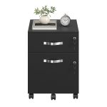 Lockable rolling file cabinet with 2 drawers