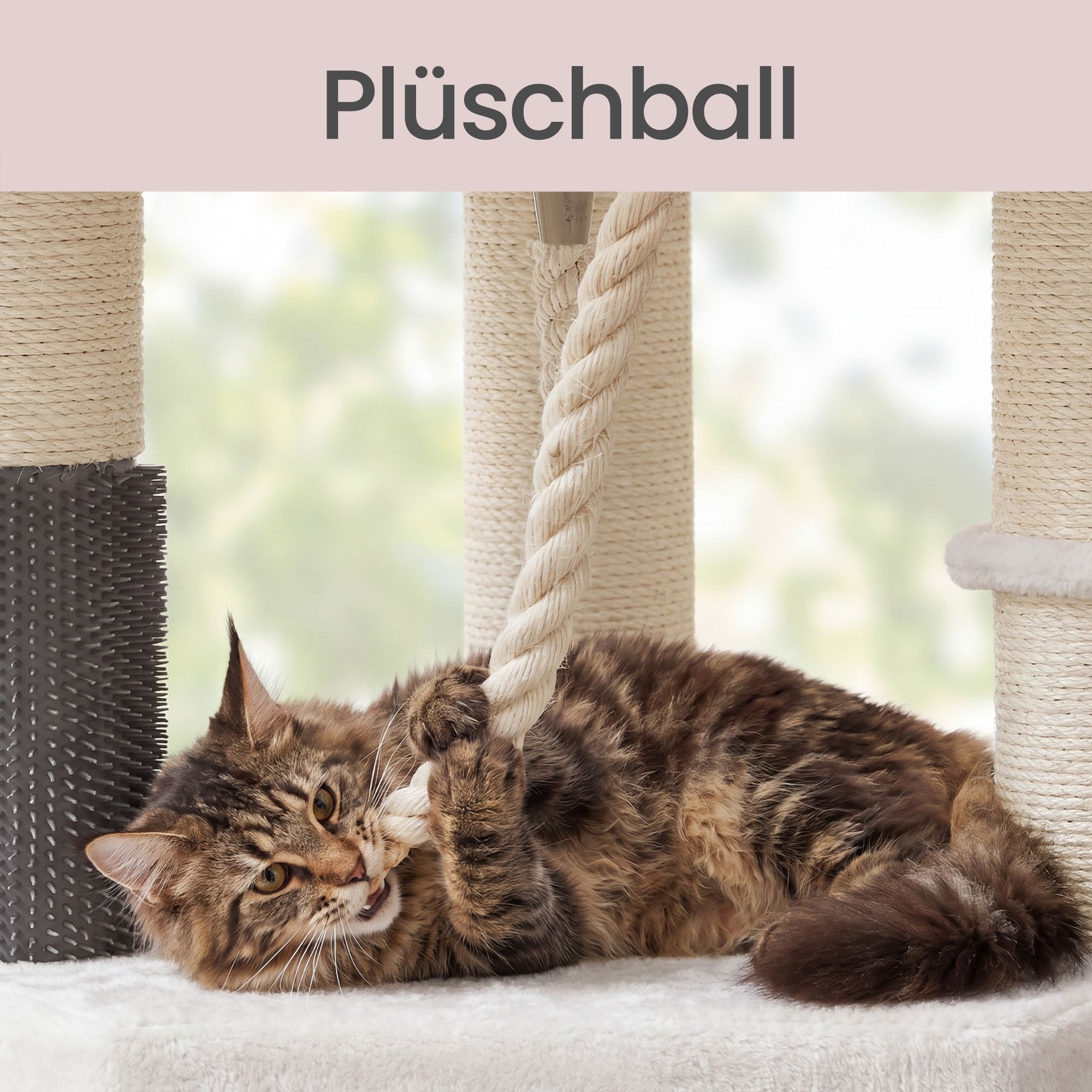 Cat tree, multi-level cat tree, thick sisal posts